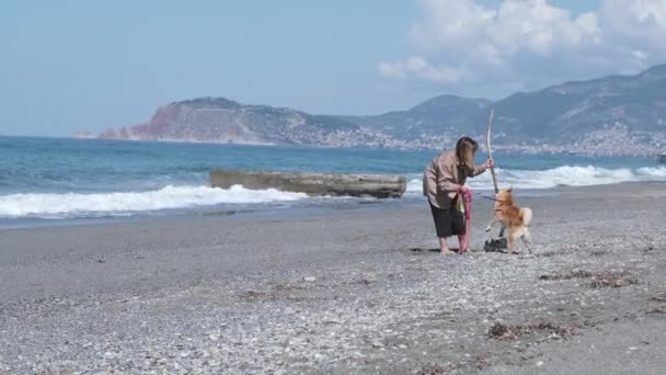 女性とアジアの犬柴はビーチで楽しさと実行しています 散歩中のペット — ストック動画