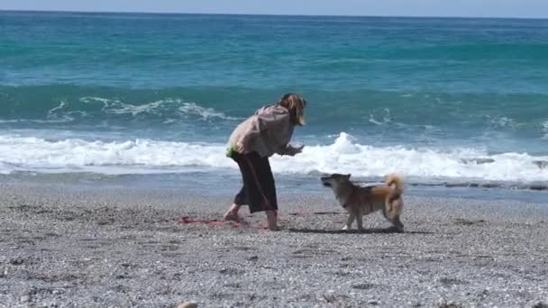 Wanita Dan Anjing Asia Shiba Bersenang Senang Dan Lari Pantai — Stok Video