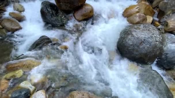 Várias Pedras Rio Rio Montanha Limpo Fluxo Tempestuoso Rio Limpo — Vídeo de Stock