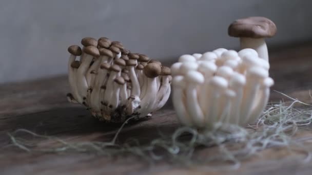 Vários Cogumelos Asiáticos Comestíveis Conjunto Vegetais Foto Escura Luz Natural — Vídeo de Stock