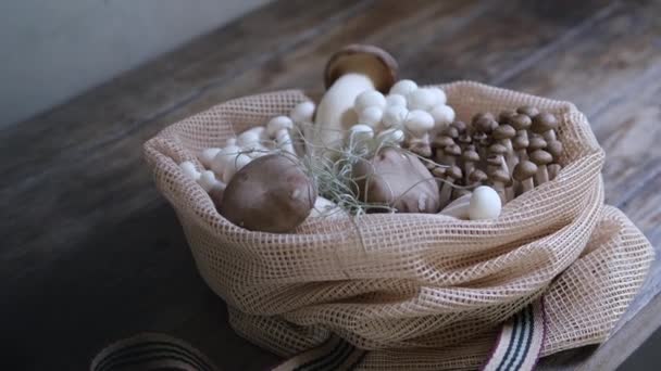 各种可食用的亚洲蘑菇 一组蔬菜 暗相片自然光 — 图库视频影像