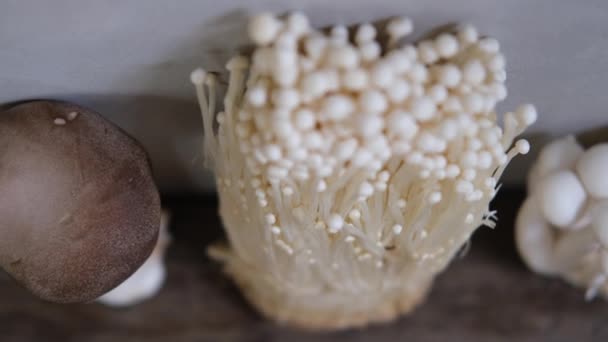 Verschiedene Essbare Asiatische Pilze Gemüseset Vorhanden Dunkles Foto Natürliches Licht — Stockvideo