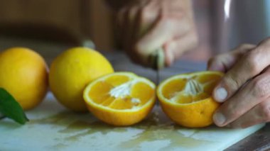 Erkek eller sulu olgun portakal meyvelerini keser ve oğluyla paylaşır. Sağlıklı yemek. 