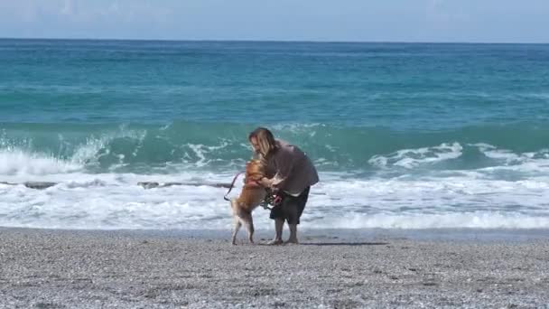 在美丽的海滩上散步时 女人和她的狗朋友辛巴狗玩得很开心 — 图库视频影像