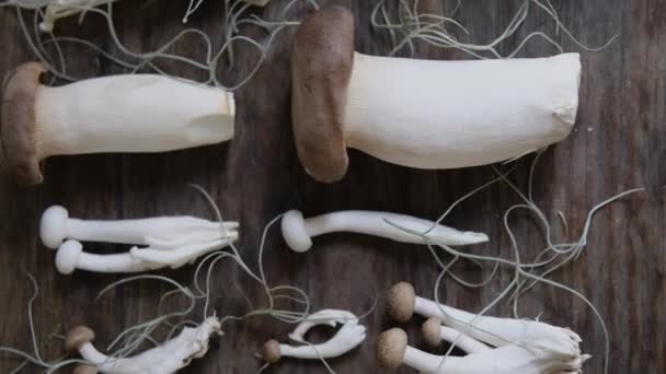 Vários Cogumelos Asiáticos Comestíveis Conjunto Vegetais Fundo Escuro Luz Natural — Vídeo de Stock