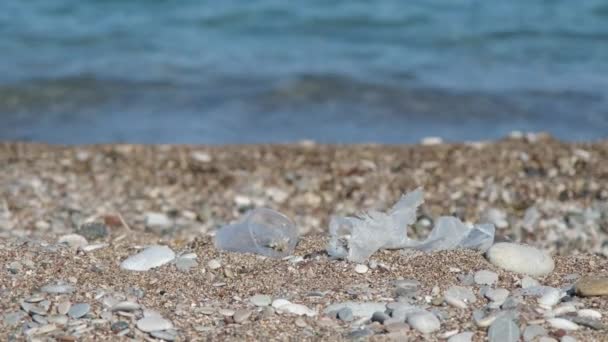 砂浜のプラスチックごみ 自然汚染の概念 海岸線の使い捨てプラスチック — ストック動画
