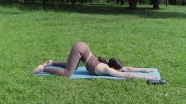 Genç çekici sporcu kadın dışarıda yoga yapıyor, yaz parkında köpek pozu veriyor, sağlıklı yaşam tarzı kavramı.