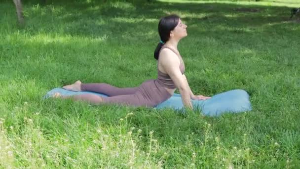 Mujer Deportiva Atractiva Joven Practicando Yoga Aire Libre Haciendo Hacia — Vídeo de stock