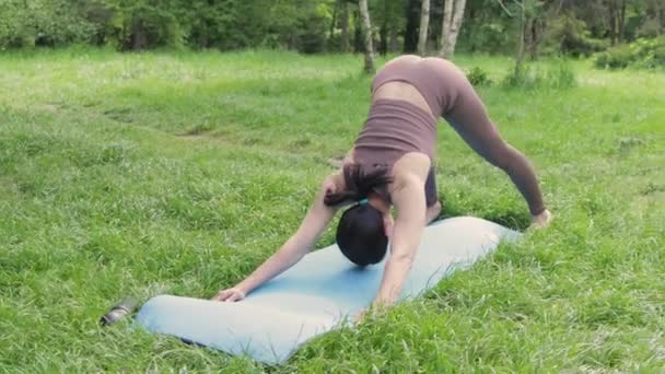 Joven Mujer Deportiva Atractiva Practicando Yoga Aire Libre Haciendo Pose — Vídeo de stock
