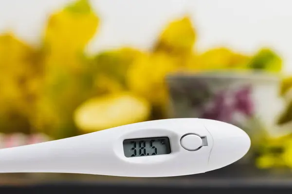 Digital thermometer indicates high temperature 38.5, close-up view. Concept of treatment fever, autumn cold, flu and coronavirus.