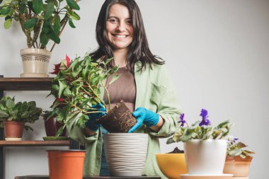 Gülümseyen, eldivenli güzel bir kadın bir çiçek saksısını masadaki yeni bir saksıya naklediyor..