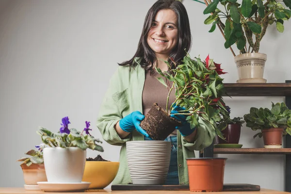 Gülümseyen, eldivenli güzel bir kadın bir çiçek saksısını masadaki yeni bir saksıya naklediyor..