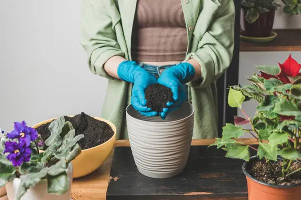 Woman's hands in gloves holding soil and transplanting a houseplant into new flower pot on a table.