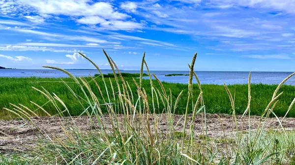 Deniz manzaralı plaj, mavi gökyüzü altında yaz doğası. Yüksek kalite fotoğraf