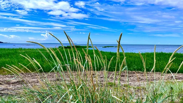 Морской Пляж Голубым Небом Летняя Природа Высокое Качество Фото — стоковое фото