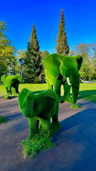 Фигуры Слонов Зеленой Травы Летний Парк Фигурками Травы Высокое Качество — стоковое фото