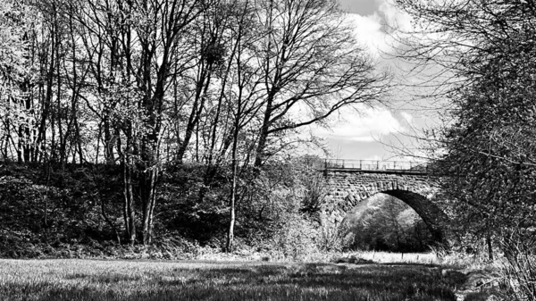 Старый Заброшенный Мост Окраине Черно Белый Фото Высокое Качество Фото — стоковое фото