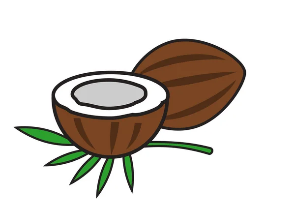 Frische Und Schmackhafte Tropische Früchte Kokosnuss — Stockfoto