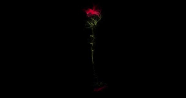 Rose Částic Animace Vzhledu Zmizení Růže Plátků Černém Pozadí 264 — Stock video