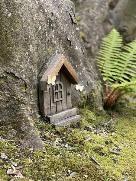Maison Miniature Dans Jardin Japonais Tramore — Photo