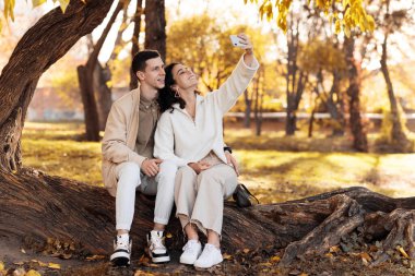 Sonbahar parkında romantik bir çift. Ağaç gövdesinde oturmuş, gülümsüyor ve selfie çekiyordum. Sonbahar atmosferi, sarı ağaçlar ve yapraklar