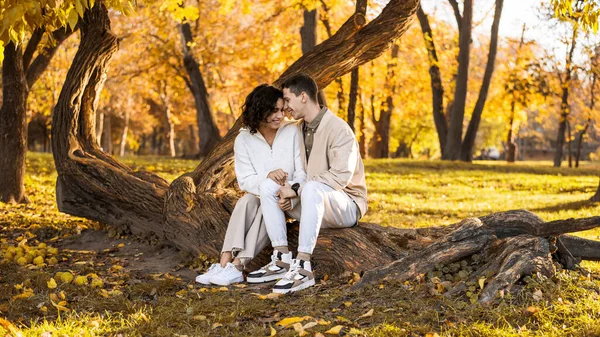 Casal Romântico Num Parque Outono Sentado Tronco Árvore Mãos Dadas — Fotografia de Stock