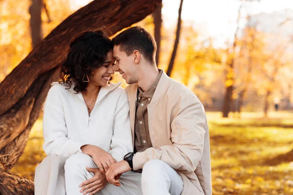 Romantyczna Para Jesiennym Parku Siedząc Pniu Drzewa Uśmiechając Się Jesienna — Zdjęcie stockowe
