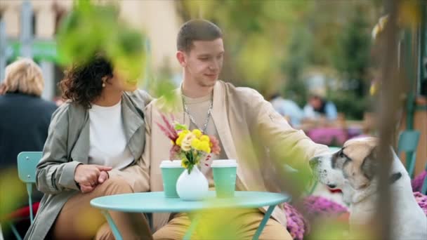 Couple Heureux Extérieur Près Café Caresser Leur Chien Sourire Fleurs — Video