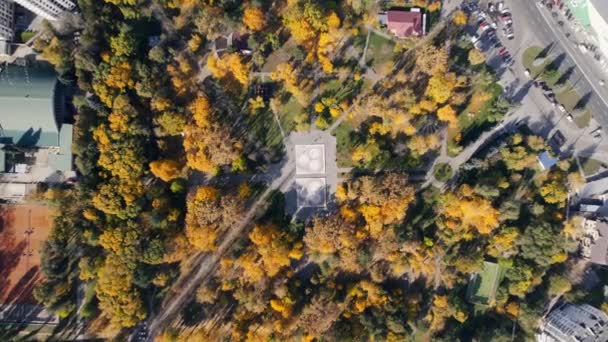 チシナウ モルドバの広場の空中ドローンビュー 公園の黄色の木々に満ちて 垂直方向のビュー — ストック動画