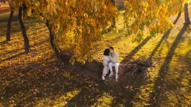 Sonbahar parkında romantik bir çiftin Drone görüntüsü. Birbirimizi öpüyoruz. Sonbahar atmosferi, sarı ağaçlar ve yapraklar. Yavaş çekim