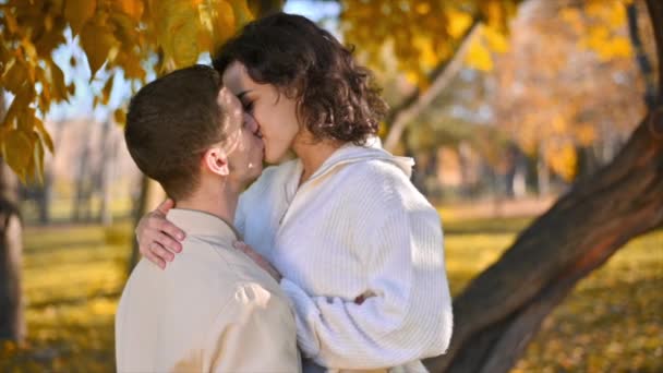 공원에서 로맨틱 커플이지 키스하는 가을에는 나무와 잎들이 노랗게 빛납니다 — 비디오