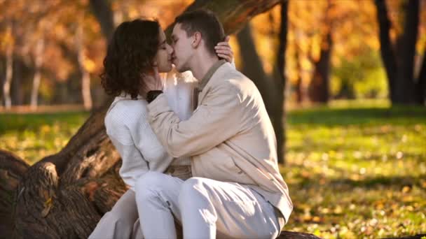 공원에서 로맨틱 커플이지 키스하는 가을의 분위기 누르스름 나무들 주위를 둘러싸고 — 비디오