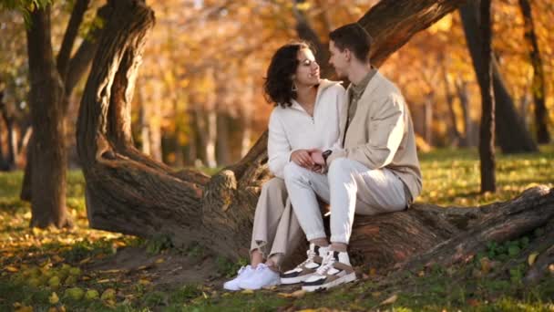 一对浪漫的夫妇在秋天的公园 男人亲吻他的女人 秋天的空气 黄树成荫 树叶四散 — 图库视频影像