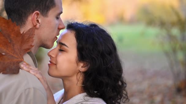 공원에서 로맨틱 커플이지 키스하는 가을의 분위기 누르스름 나무들 배경에 — 비디오
