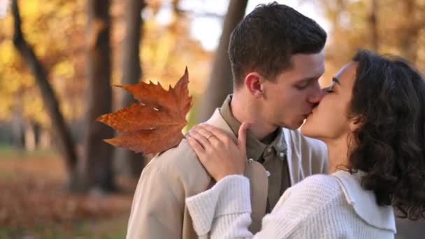 一对浪漫的夫妇在秋天的公园 亲吻对方 秋天的空气 背景上泛黄的树木和树叶 — 图库视频影像
