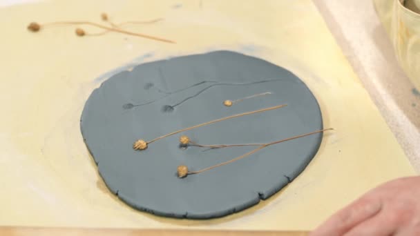 Stüdyoda Çalışan Bir Çömlek Ustası Topraktan Sıkıştırılmış Dalların Alınması — Stok video