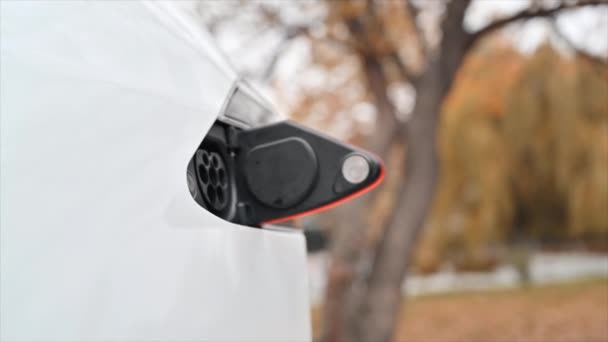 Slow Motion Close View Man Plugging Charger Electric Car Charging — Stock Video