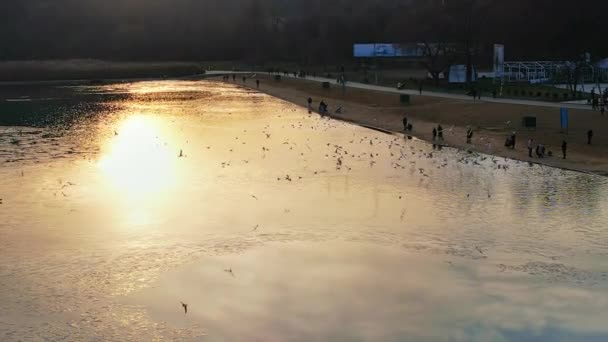 Aerial Drone View Valea Morilor Park Chisinau Sunset Moldova Lake — Stock video