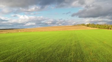 Aerial drone view of nature in Moldova. Green and yellow wide fields