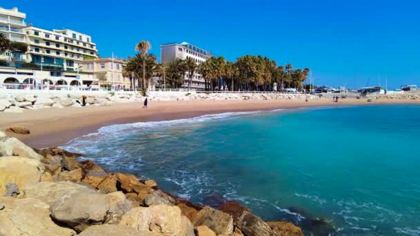 Sea Beach Palm Trees Buildings Cannes France — 图库视频影像