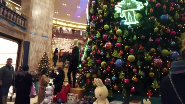 Paris France December 2022 View Shopping Mall Interior Christmas Tree — Stock video