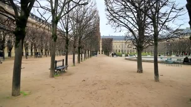 Paris Francja Styczeń 2022 Widok Ogrody Pałacu Królewskiego Centrum Miasta — Wideo stockowe