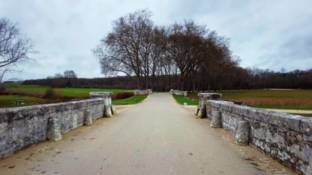 法国尚博尔德城堡附近的花园 光秃秃的树木和多云的天气 — 图库视频影像