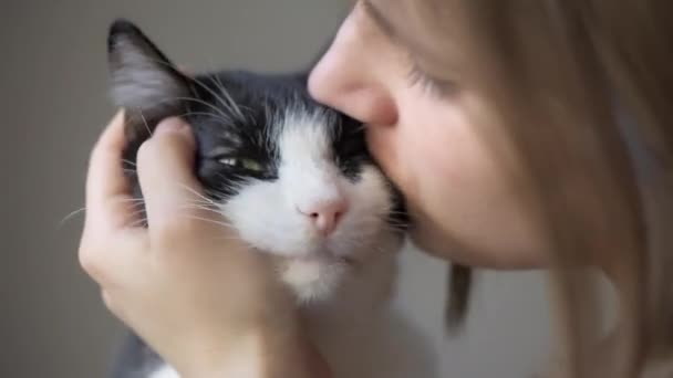 Närbild Ung Kvinna Petting Katt Med Svart Och Vit Päls — Stockvideo