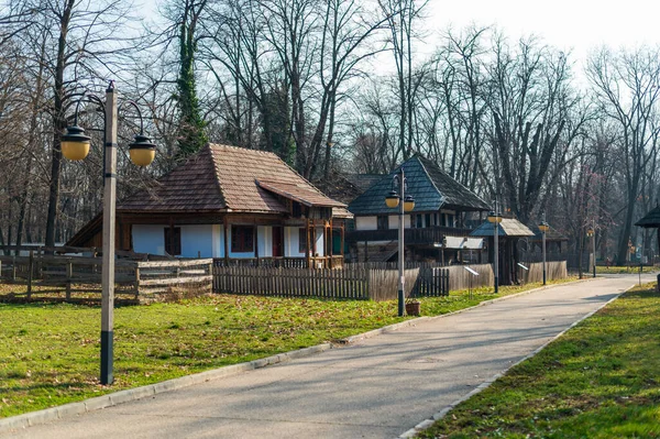 Vue Musée Village Bucarest Roumanie Bâtiments Résidentiels Anciens Style National — Photo