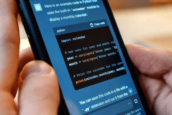 İçinde yapay zeka sohbeti olan bir akıllı telefon tutan kişi. Kullanıcı sohbet botundan Python 'da kod yazmasını istiyor