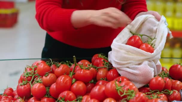 Kvinnan Plockar Tomater Återanvändbar Påse Butik Ekologi Och Jorddagstematik — Stockvideo