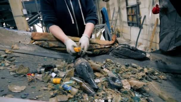 Werknemer Speciale Handschoenen Die Glasafval Sorteert Een Transportband Een Afvalsorteerinstallatie — Stockvideo