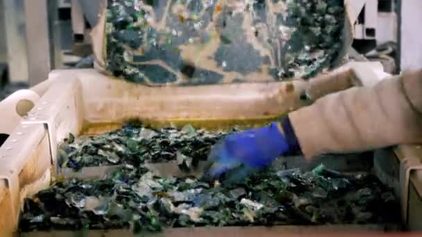 Trabalhador Luvas Especiais Triagem Lixo Vidro Uma Correia Transportadora Vibratória — Vídeo de Stock