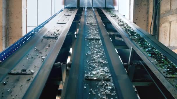 Prozess Der Sortierung Von Glasmüll Auf Einem Förderband Der Abfallsortieranlage — Stockvideo